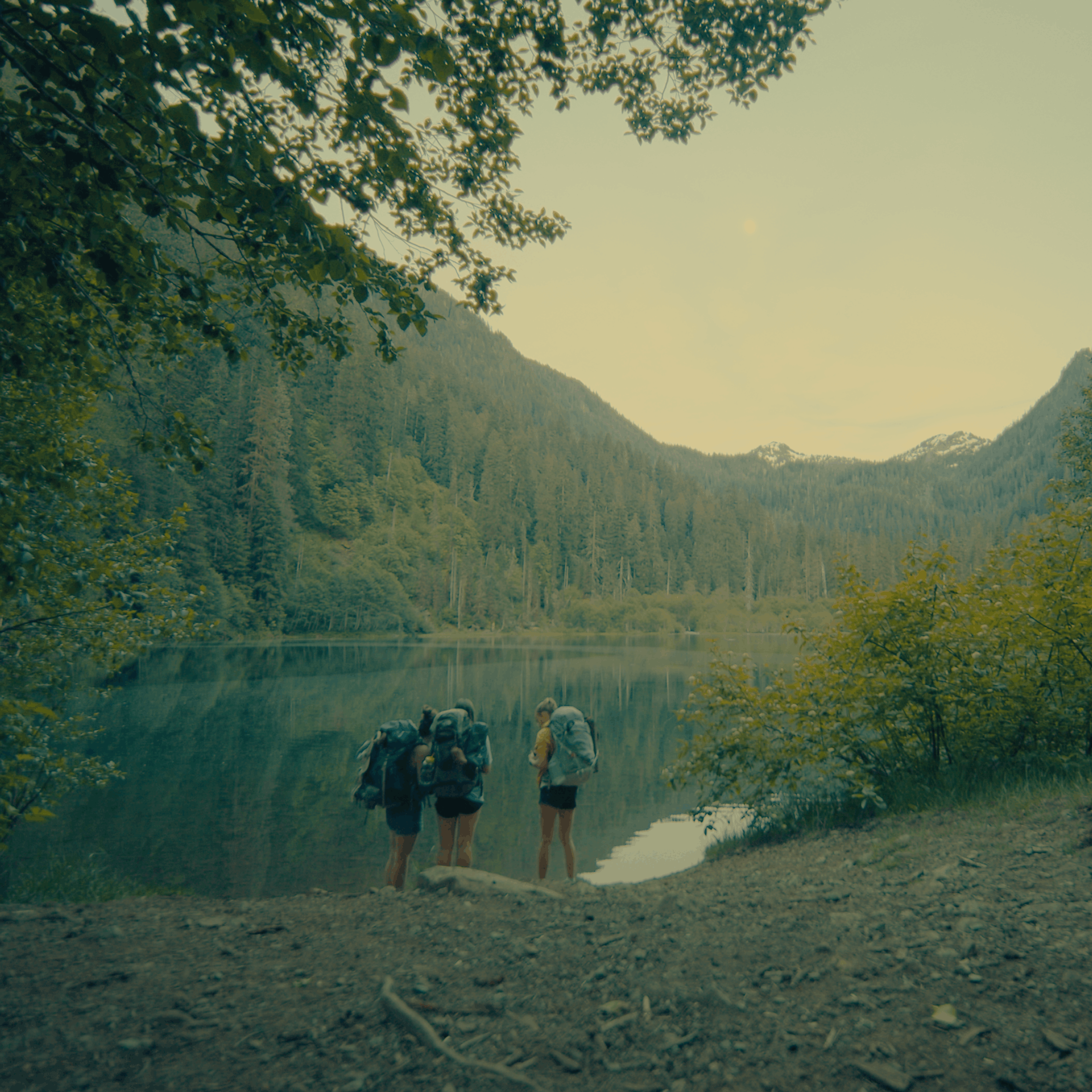 Still 2026-02-16 165803_1.3.2