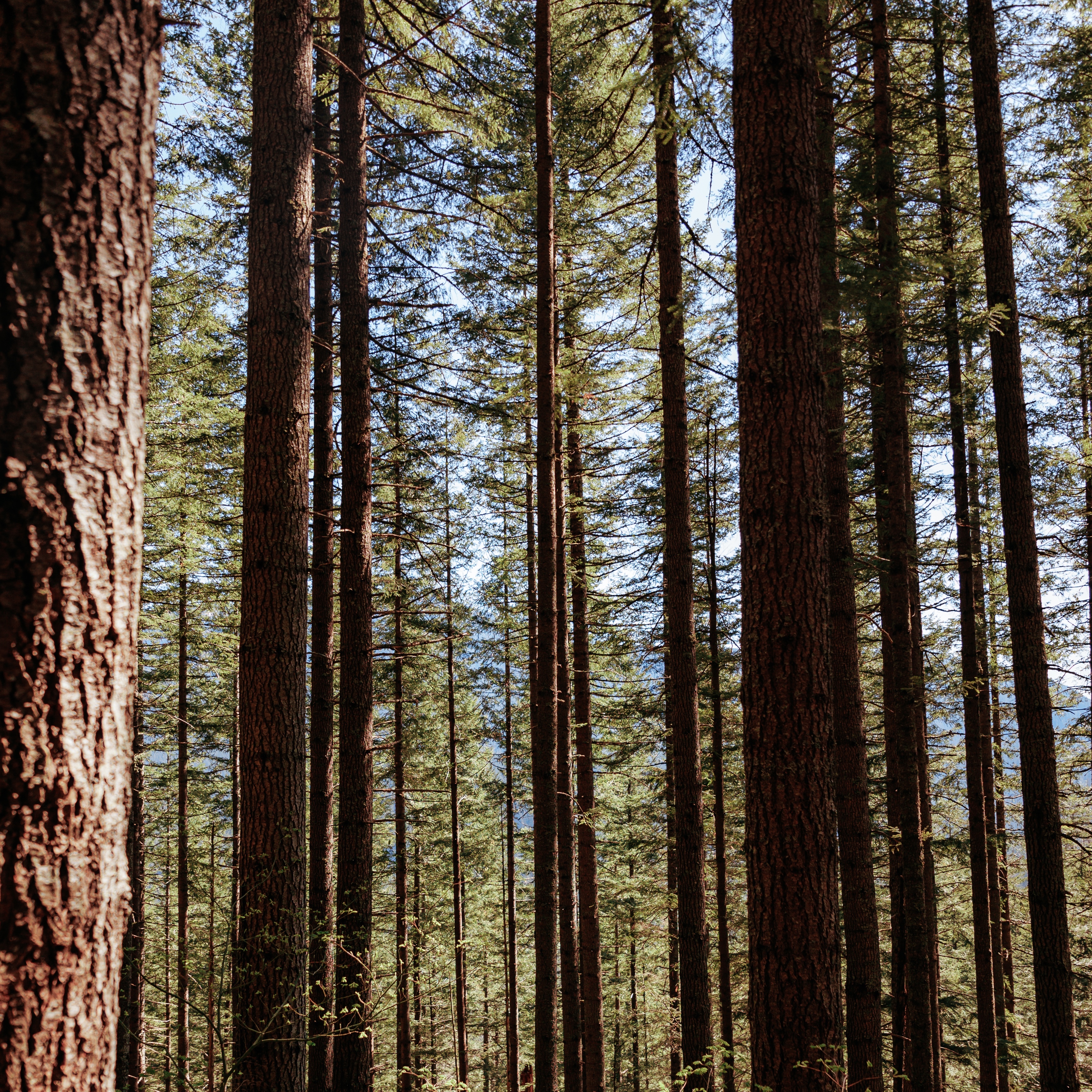 sambica-color-2416 (edited)